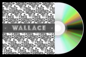 Wallace… un premier album, entre folk et style manouche Wallace… un premier album, entre folk et style manouche