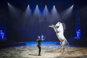 Alexis Gruss © Karim El Dib. Alexis Gruss © Karim El Dib.