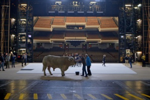 © Les Films du Losange. © Les Films du Losange.