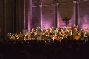 Ensemble Aedes © DR. Ensemble Aedes © DR.