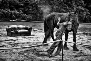 "Ma bête noire" © François Chaussebourg. "Ma bête noire" © François Chaussebourg.