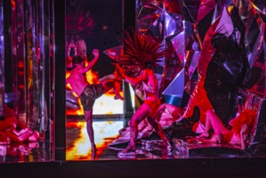 "Le Mandarin merveilleux" © S. Van Rompay. "Le Mandarin merveilleux" © S. Van Rompay.