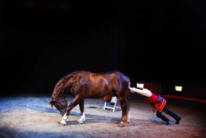 Gibraltar, complice et récalcitrant, Charles Gruss© Éloise Vene. Gibraltar, complice et récalcitrant, Charles Gruss© Éloise Vene.