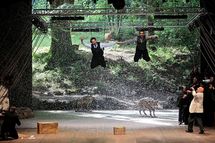 "Le Brame des biches", mise en scène de Pierre Guillois © David Siebert. "Le Brame des biches", mise en scène de Pierre Guillois © David Siebert.
