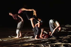 "Fractales" par la Cie Libertivore © Philippe Lebruman 2018. "Fractales" par la Cie Libertivore © Philippe Lebruman 2018.