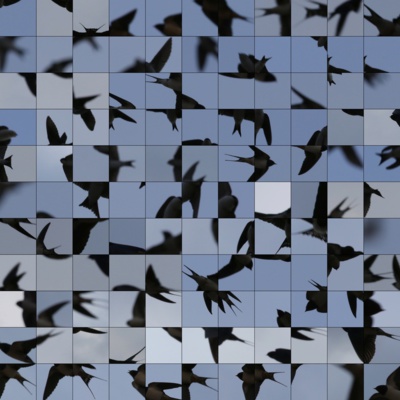 "Le Bleu du Ciel" - Bruissement © Édouard Taufenbach. "Le Bleu du Ciel" - Bruissement © Édouard Taufenbach.