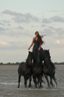 Centaure, Camargue © Philippe Praliaud.