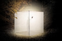 "Parsifal" © Tous droits réservés. "Parsifal" © Tous droits réservés.