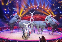 Répétition famille Gartner, 14 janvier 2014 © Monte-Carlo Festivals. Répétition famille Gartner, 14 janvier 2014 © Monte-Carlo Festivals.