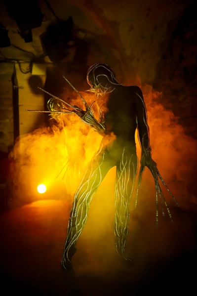 © Julie Mitchell. © Julie Mitchell.