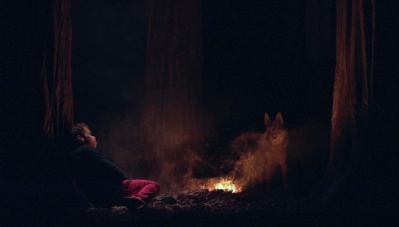 © Prisma Laval. © Prisma Laval.