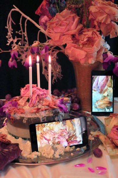 © Dorothea Tuch. © Dorothea Tuch.