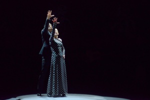 © Vincent Pontet. © Vincent Pontet.