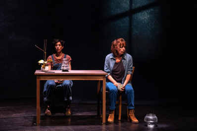 © Tuong-Vi Nguyen. © Tuong-Vi Nguyen.