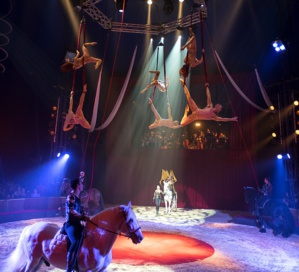 "Le labyrinthe de Dédale" © Jacques Gavard. "Le labyrinthe de Dédale" © Jacques Gavard.