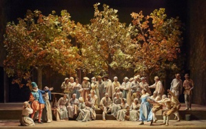 © Pierre Grobois. © Pierre Grobois.