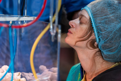 © Franck Frappa. © Franck Frappa.