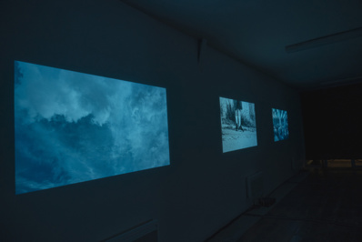 "La Doublure du réel" © Pierre Planchenault. "La Doublure du réel" © Pierre Planchenault.