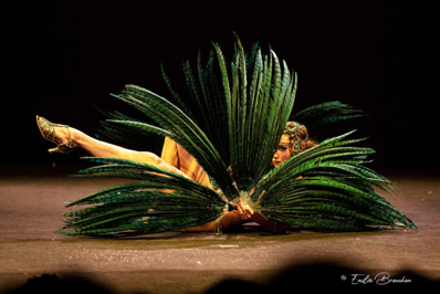 © Émilie Brouchon. © Émilie Brouchon.