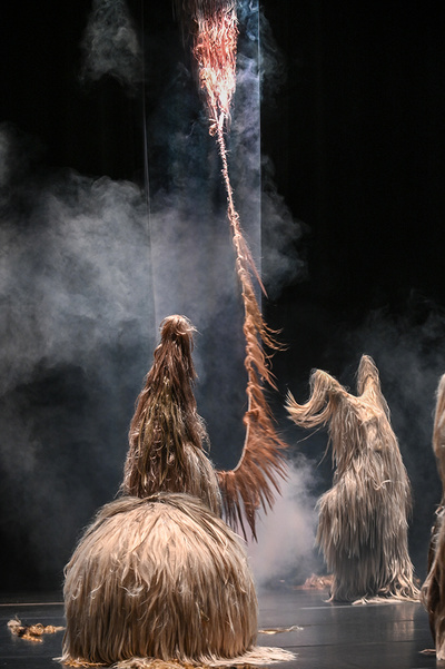 © Stéphane Gaillochon. © Stéphane Gaillochon.