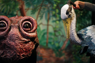 © Martin Van Eeckoudt. © Martin Van Eeckoudt.