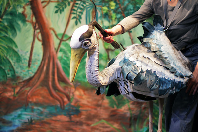 © Martin Van Eeckoudt. © Martin Van Eeckoudt.