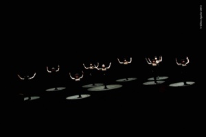 © Gilles Aguilar 2015. © Gilles Aguilar 2015.