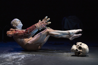 "Body Concert 148" © Richard Termine Vane Terrancopy. "Body Concert 148" © Richard Termine Vane Terrancopy.