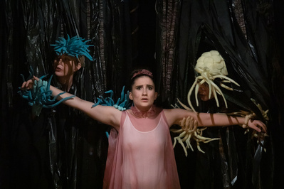 © Cyril Marcilhacy. © Cyril Marcilhacy.