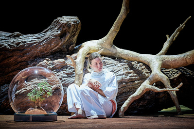 © Christophe Raynaud de Lage. © Christophe Raynaud de Lage.