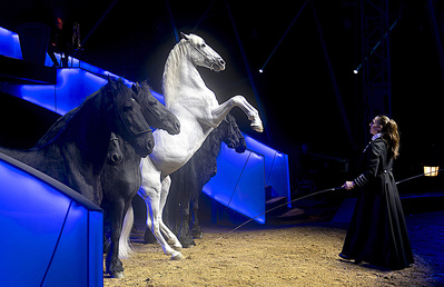 © Olivier Brajon. © Olivier Brajon.