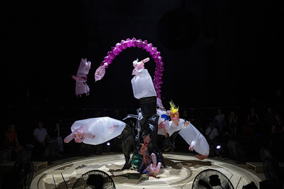 © Sigridspinnox. © Sigridspinnox.