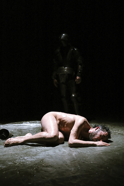 "Agnus Dei" © Carni Bird.