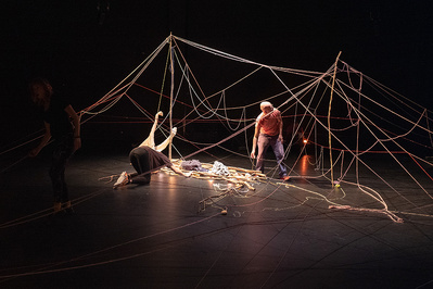 © Anne Pollock. © Anne Pollock.