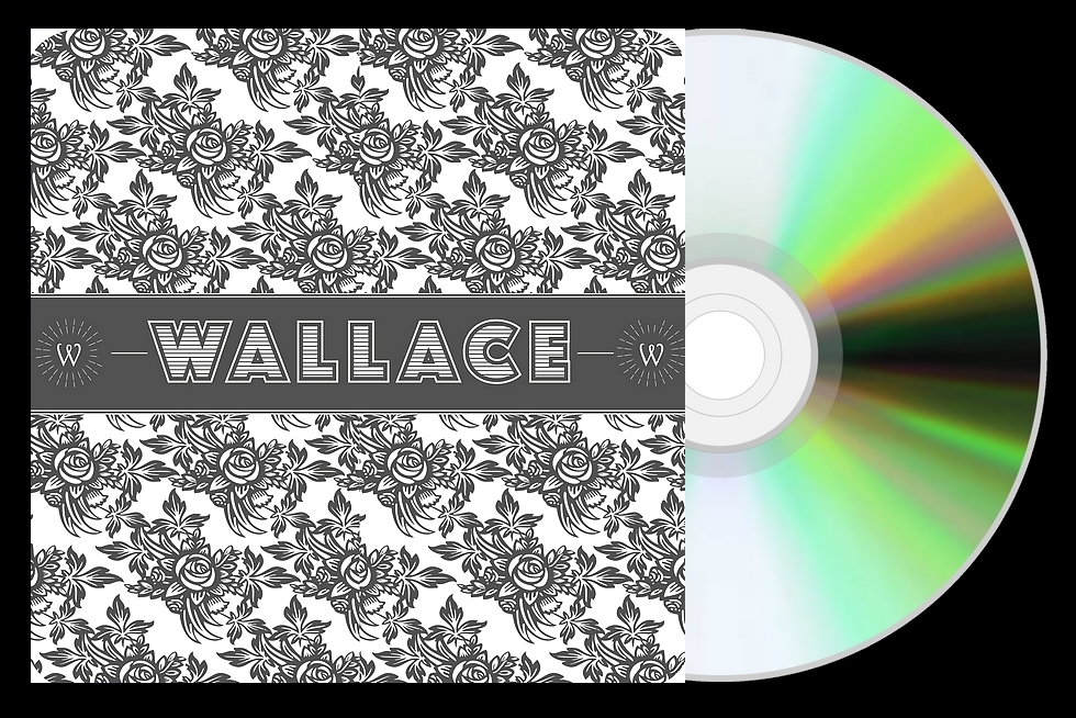 Wallace… un premier album, entre folk et style manouche