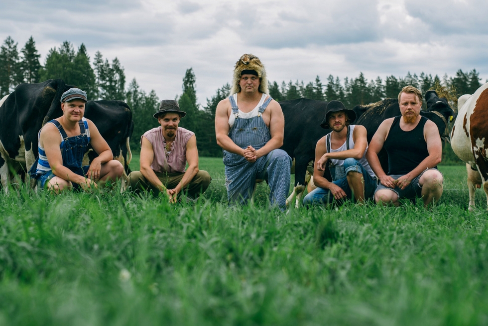 Steve 'n' Seagulls © DR.