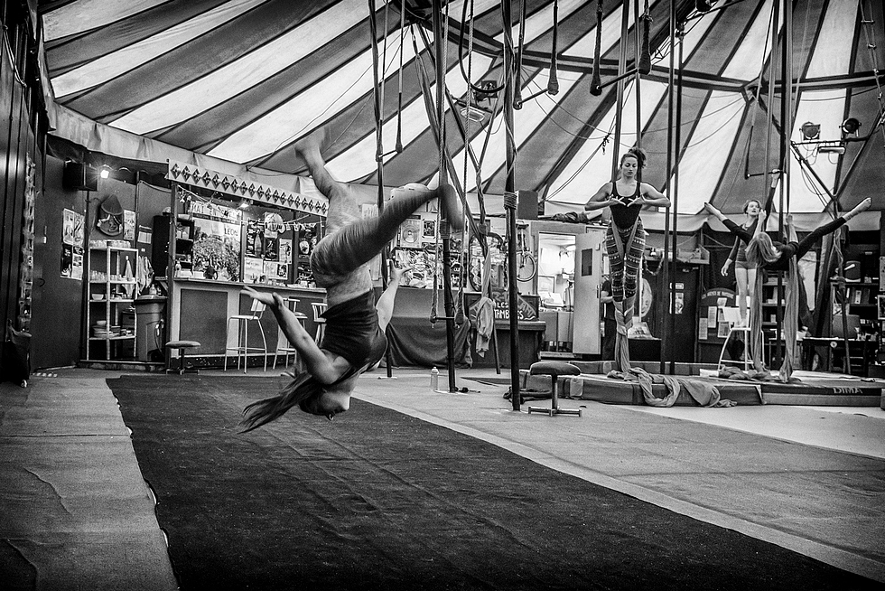 Sous le chapiteau du Cirque Les Noctambules © Les Noctambules. Sous le chapiteau du Cirque Les Noctambules © Les Noctambules.
