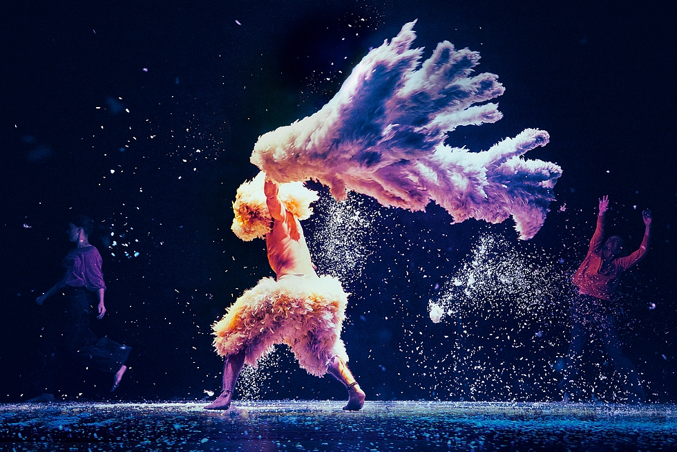 © Christophe Raynaud de Lage. © Christophe Raynaud de Lage.