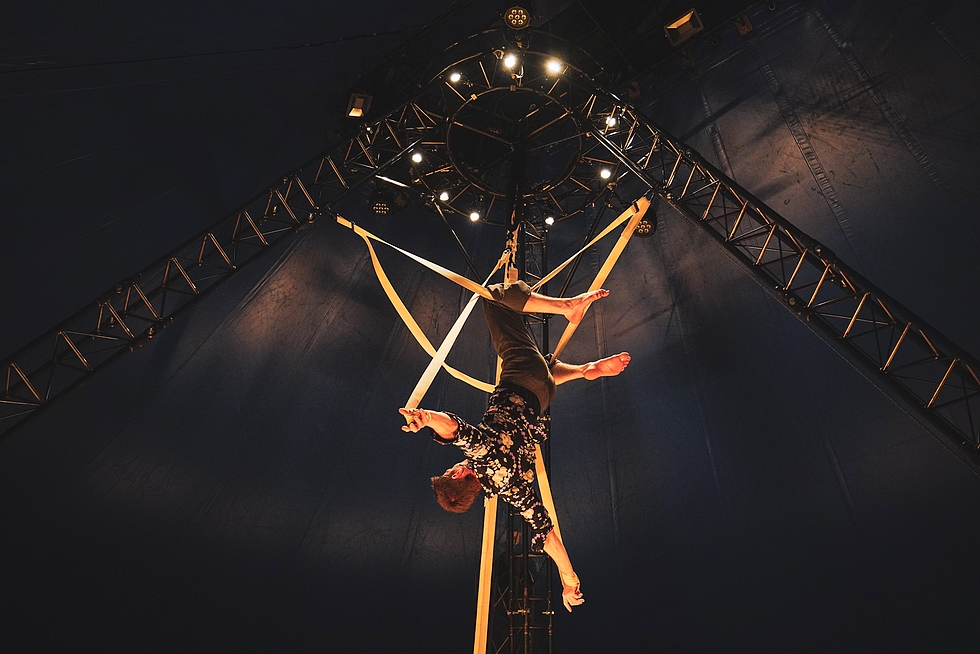 "Nartiste" © Pierre Planchenault. "Nartiste" © Pierre Planchenault.