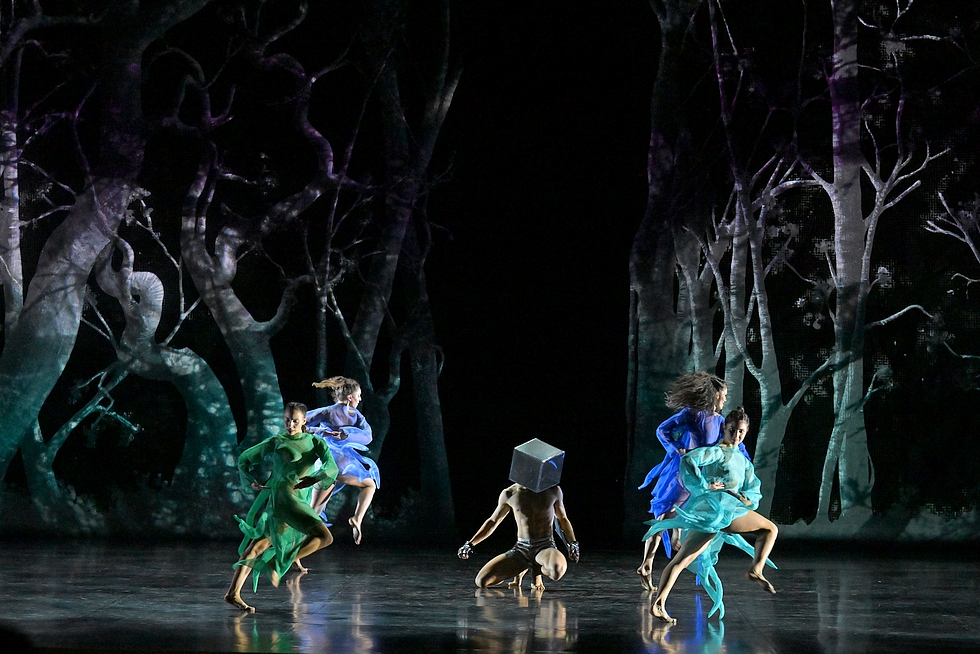 © Jean-Claude Carbonne. © Jean-Claude Carbonne.