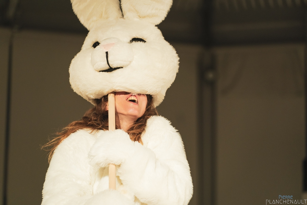 "Discipline in disorder" © Pierre Planchenault. "Discipline in disorder" © Pierre Planchenault.