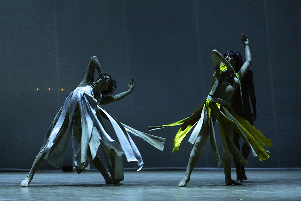 © Thomas Amouroux. © Thomas Amouroux.