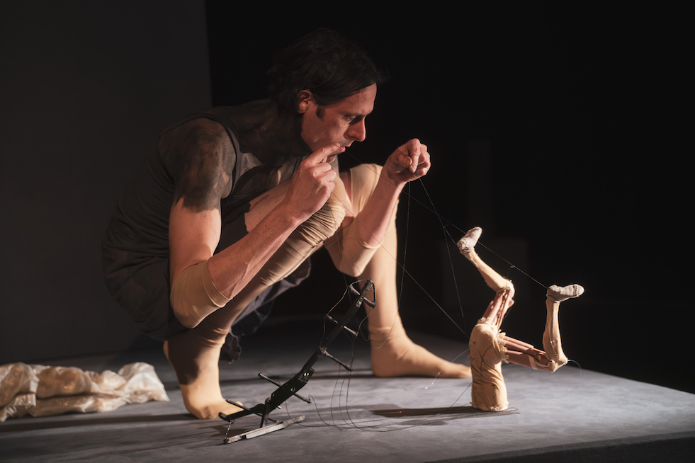 "Supersensible" © Pierre Planchenault.