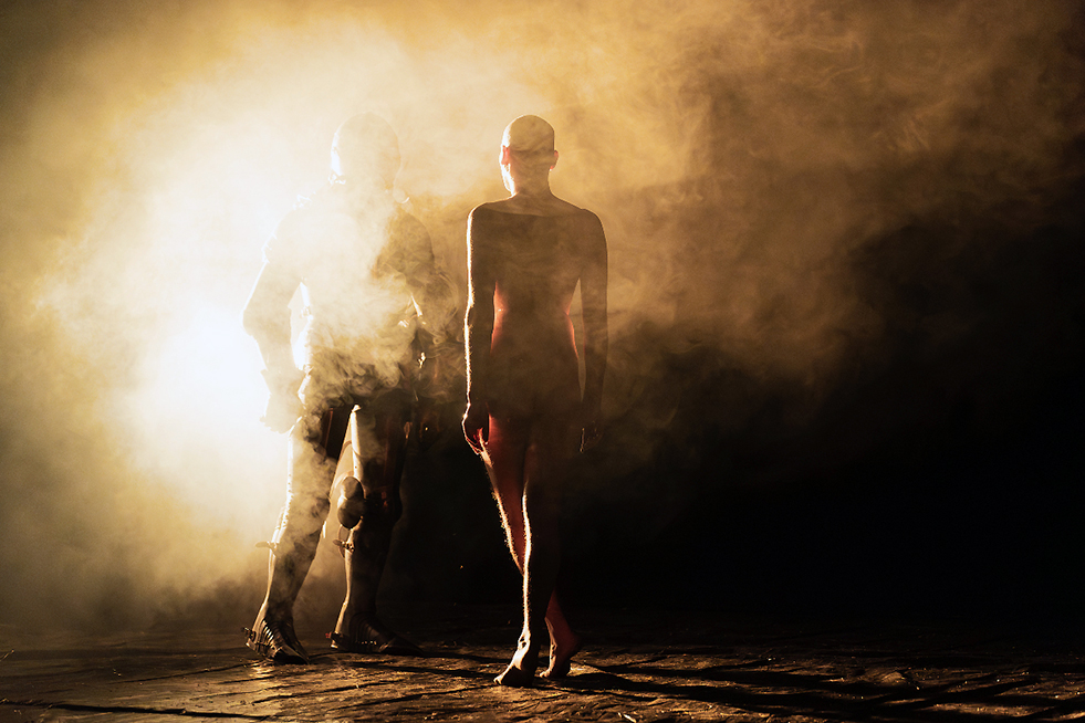 © Pierre Planchenault.