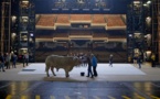 Dans les coulisses de la passion de "L'Opéra"