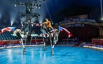 Entre traditions et innovations, le cirque fait son show à Monaco