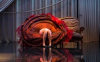 "Animal(s)"... Lien entre vaudeville, burlesques du cinéma muet et branquignols