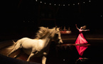 Balade équestre dans l'univers singulier de Bartabas… et de Zingaro, un théâtre pour les chevaux Balade équestre dans l'univers singulier de Bartabas… et de Zingaro, un théâtre pour les chevaux