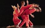 Opera Ballet Vlaanderen… Anne Teresa De Keersmaker, Trisha Brown et Jan Martens ensemble !