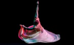 "Tutu"… Les petits pas burlesques de petits rats déjantés !
